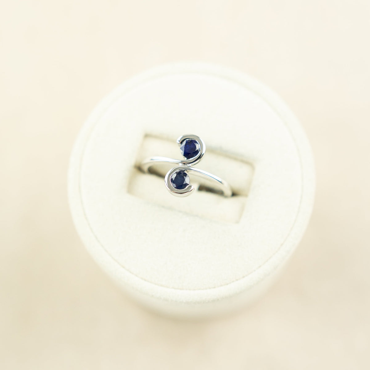 9 Karat White Gold Sapphire 2 Stone Ring