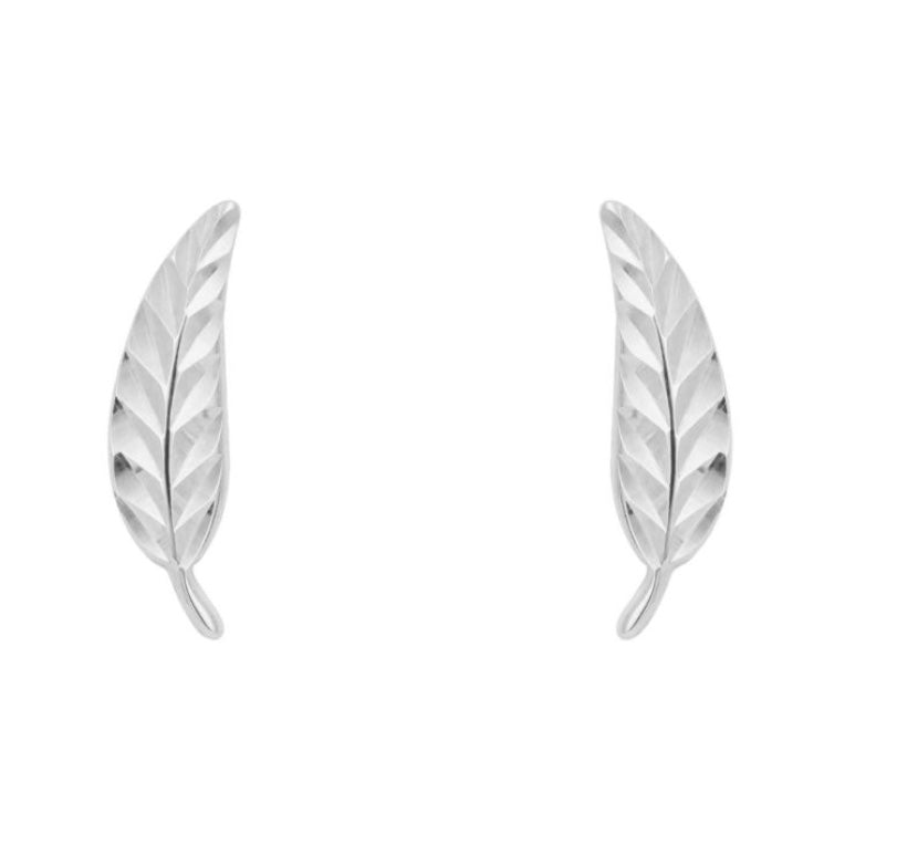 9ct white gold small feather stud earrings